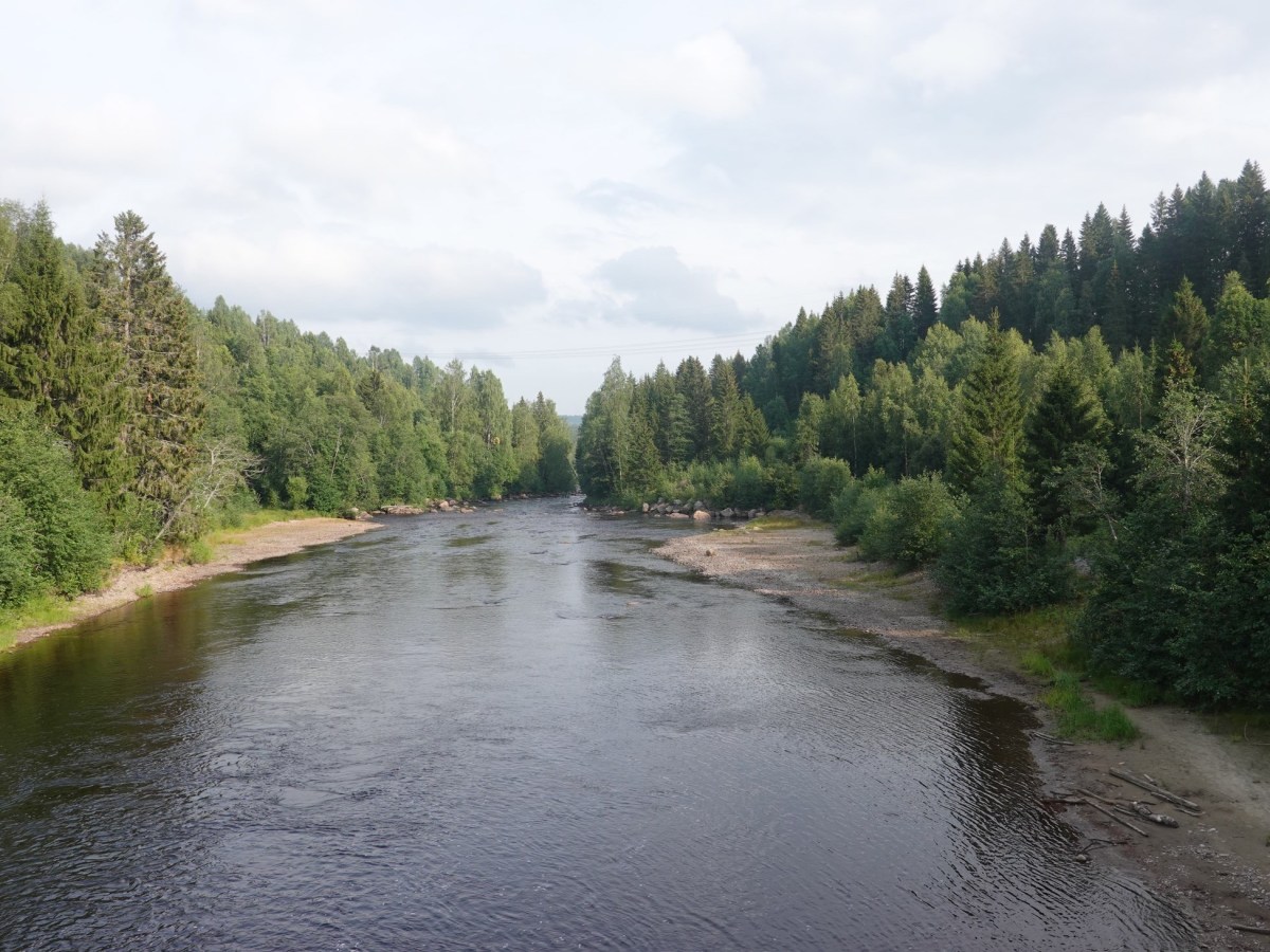 Rad fahren- Essen-&nbsp;Schlafen