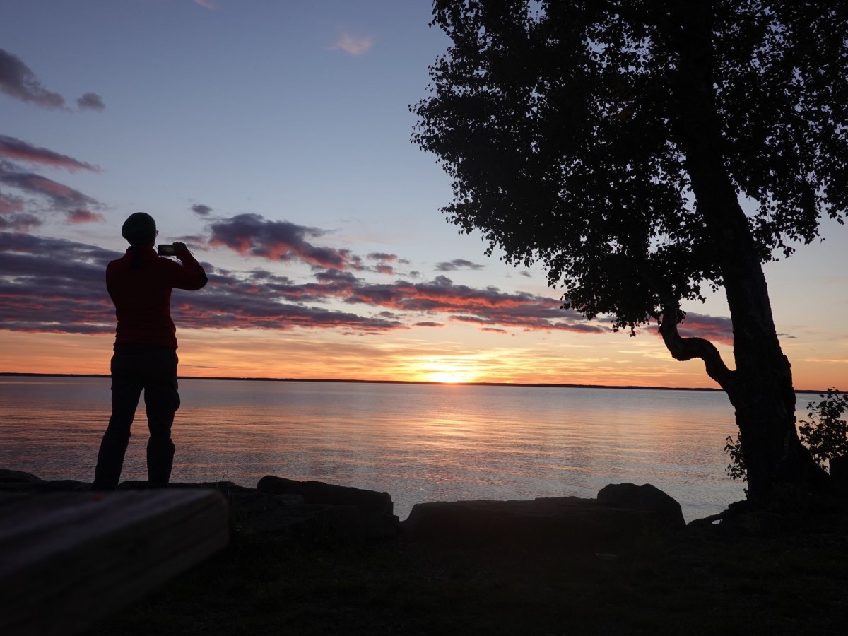 In der Stadt und zurück in die&nbsp;Wildnis