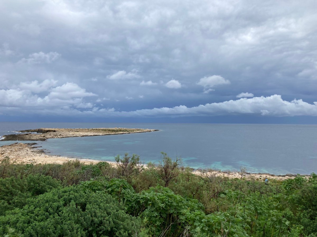 Der maltesische Winter