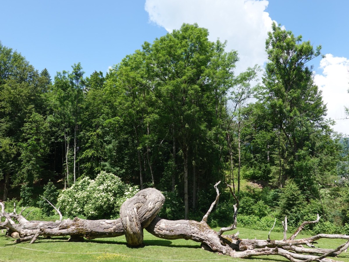 Zurück nach Italien