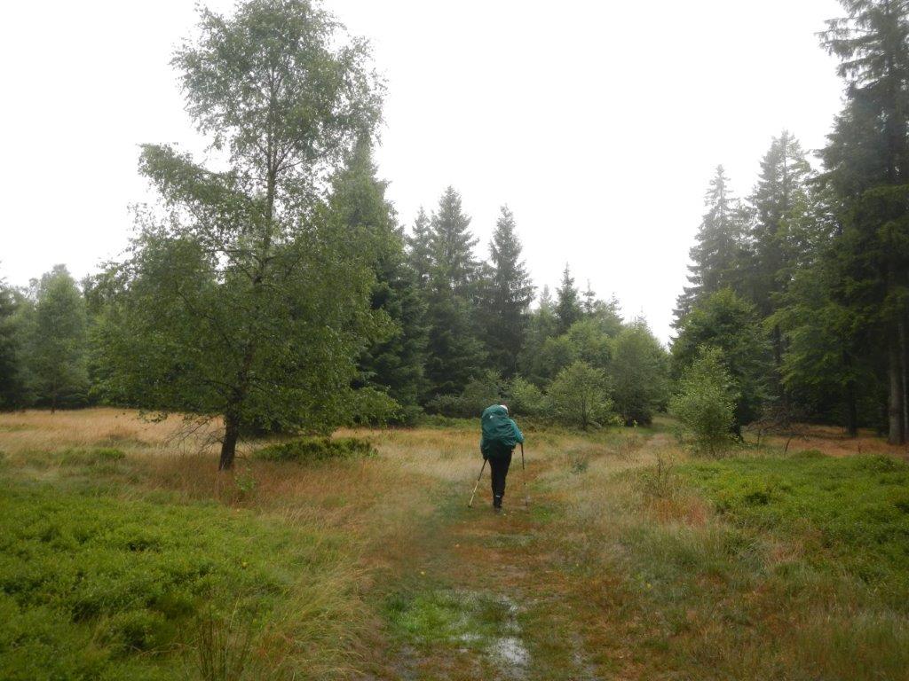 Dieses Bild hat ein leeres alt-Attribut; sein Dateiname ist dscn9324.jpg