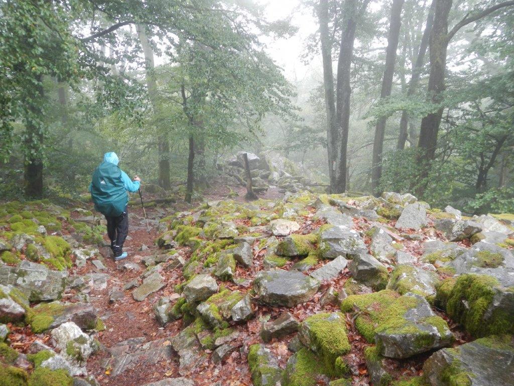 Dieses Bild hat ein leeres alt-Attribut; sein Dateiname ist dscn9341.jpg