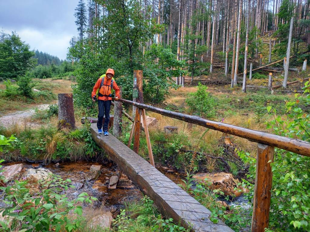 Dieses Bild hat ein leeres alt-Attribut; sein Dateiname ist img-20230731-wa0010.jpg