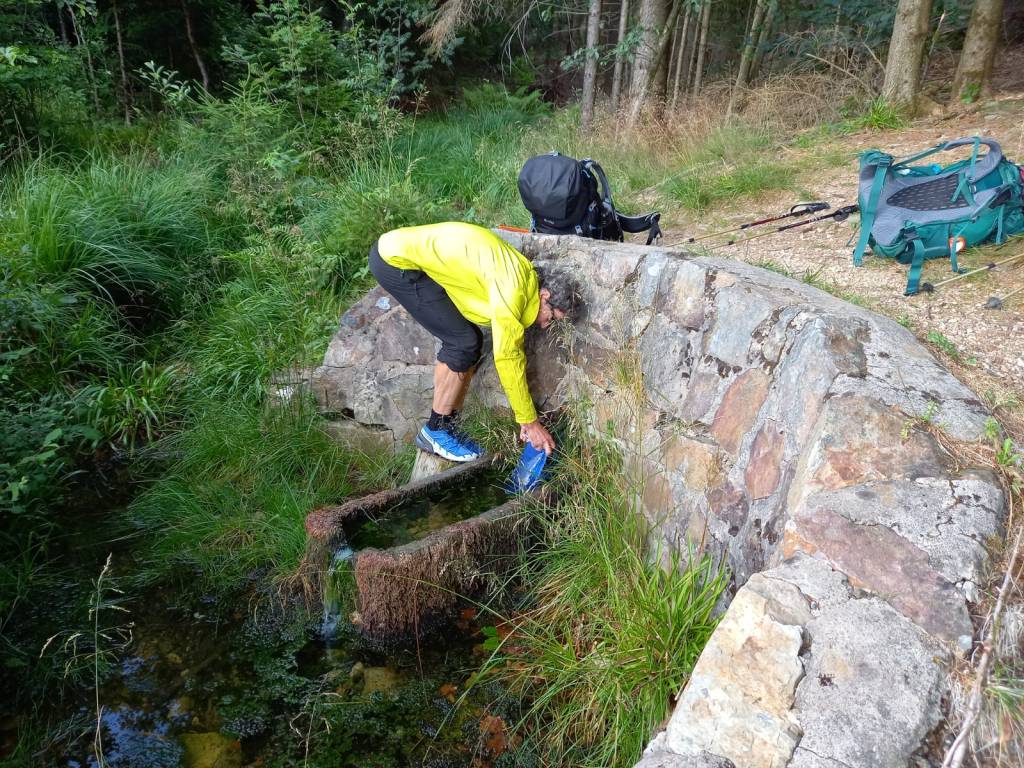 Dieses Bild hat ein leeres alt-Attribut; sein Dateiname ist img-20230731-wa0035.jpg