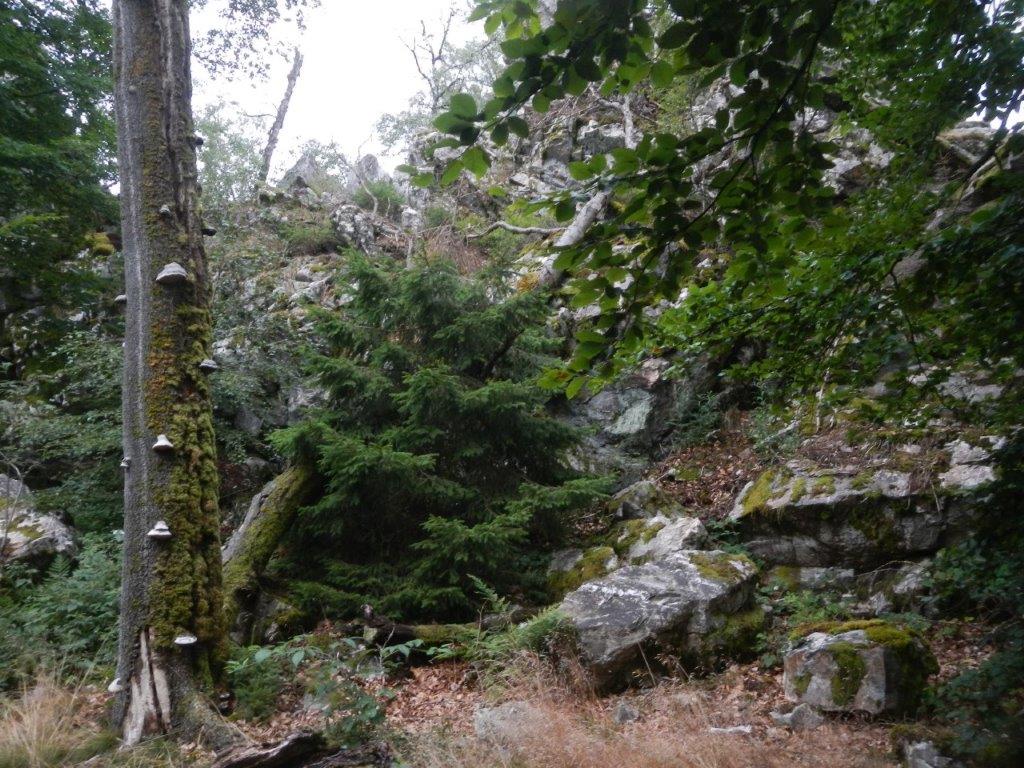 Dieses Bild hat ein leeres alt-Attribut; sein Dateiname ist dscn9262.jpg