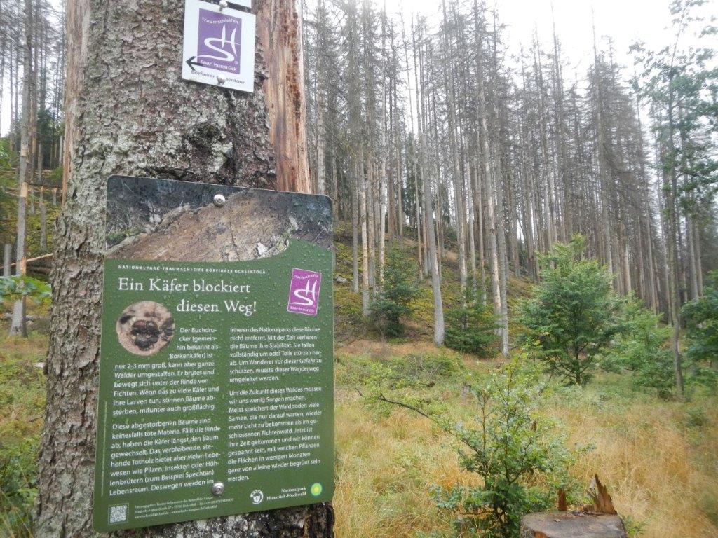 Dieses Bild hat ein leeres alt-Attribut; sein Dateiname ist dscn9313.jpg