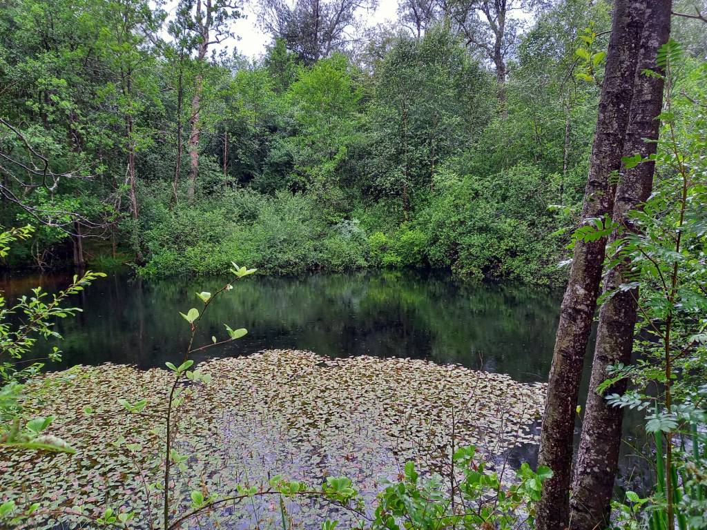 Dieses Bild hat ein leeres alt-Attribut; sein Dateiname ist img-20230731-wa0027.jpg