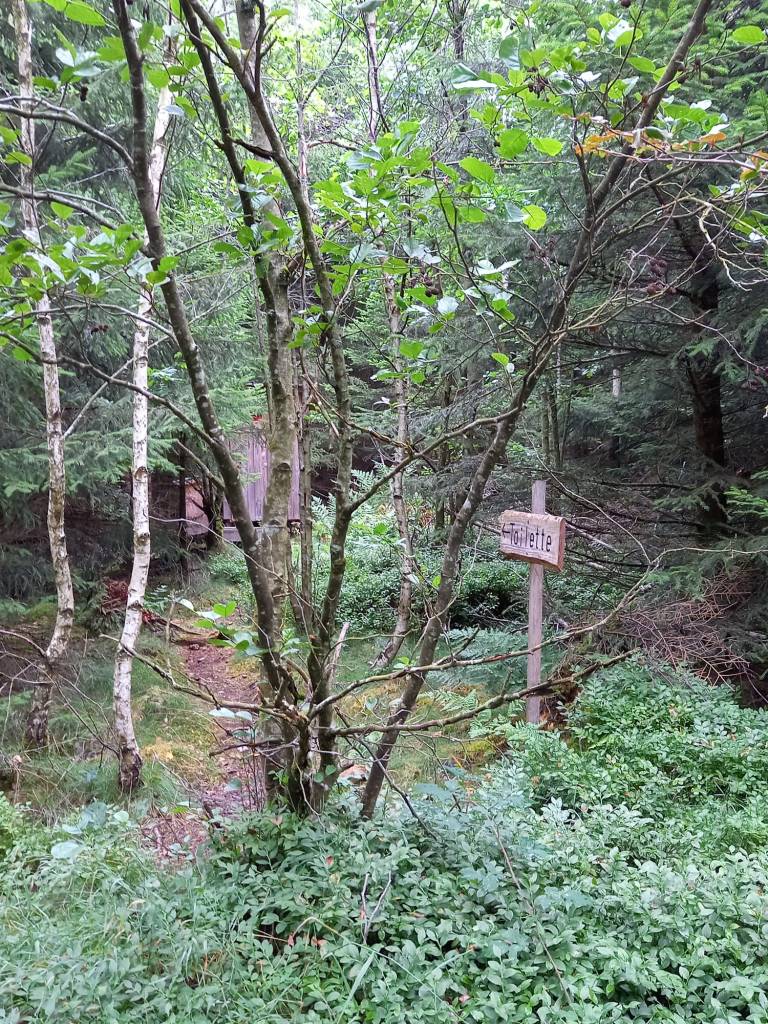 Dieses Bild hat ein leeres alt-Attribut; sein Dateiname ist img-20230731-wa0045.jpg