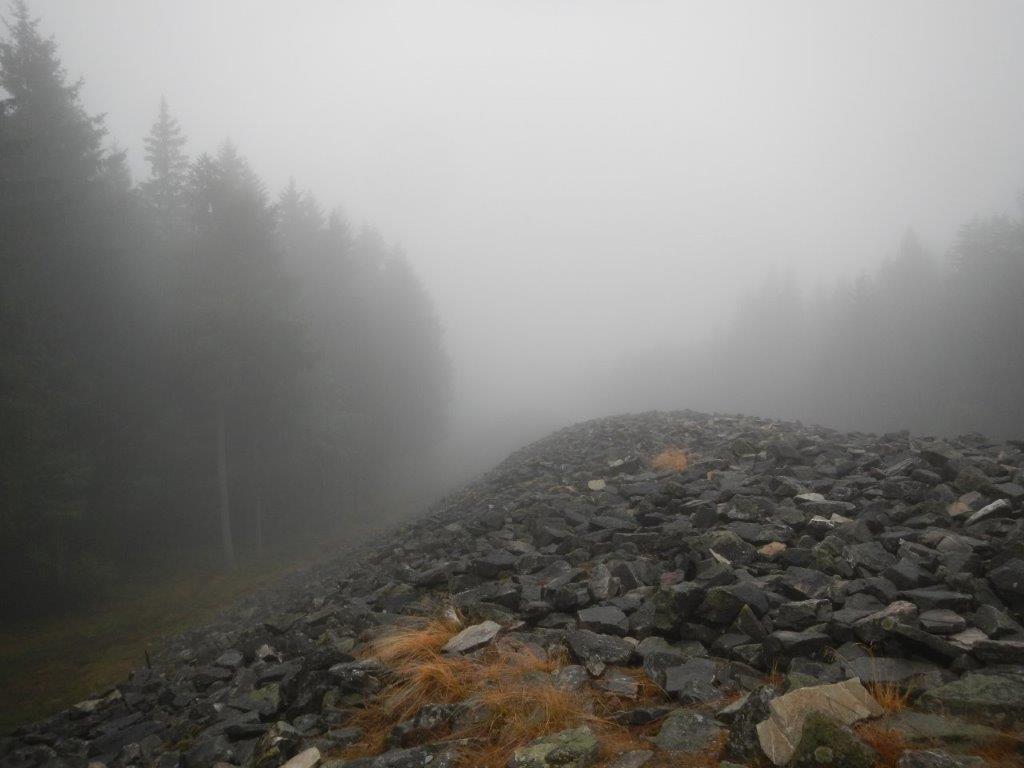 Dieses Bild hat ein leeres alt-Attribut; sein Dateiname ist dscn9339.jpg