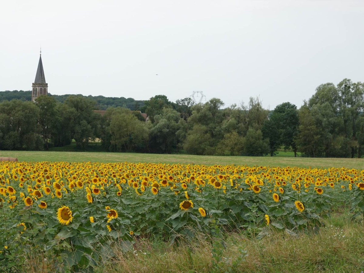 Von Kanal zu&nbsp;Kanal