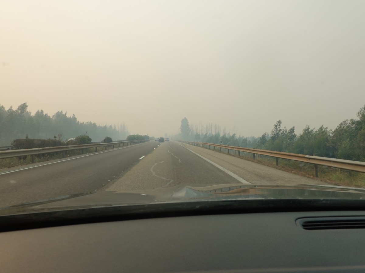 Flucht vor den&nbsp;Bränden