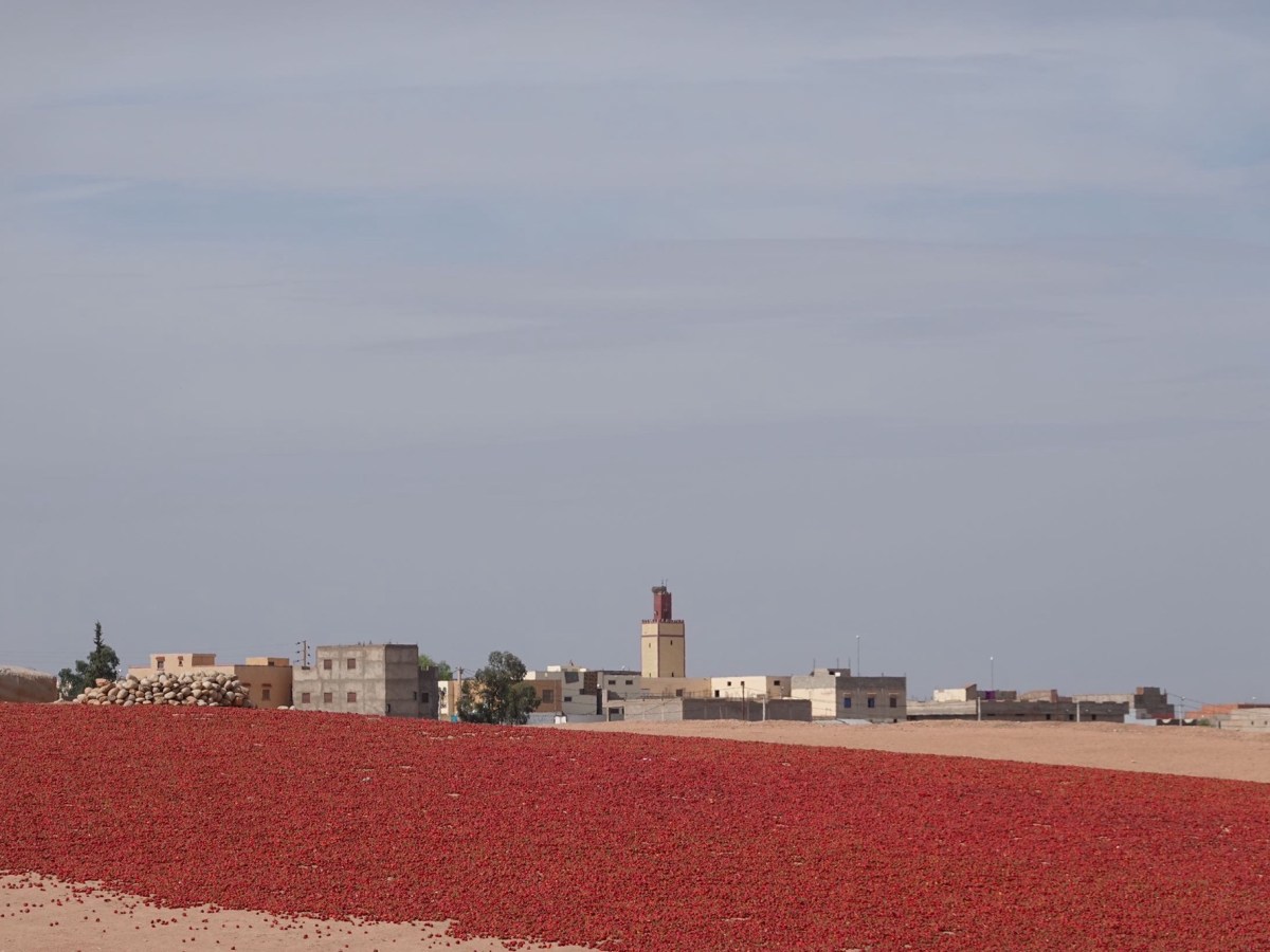 Mittendrin im marokkanischen&nbsp;Leben