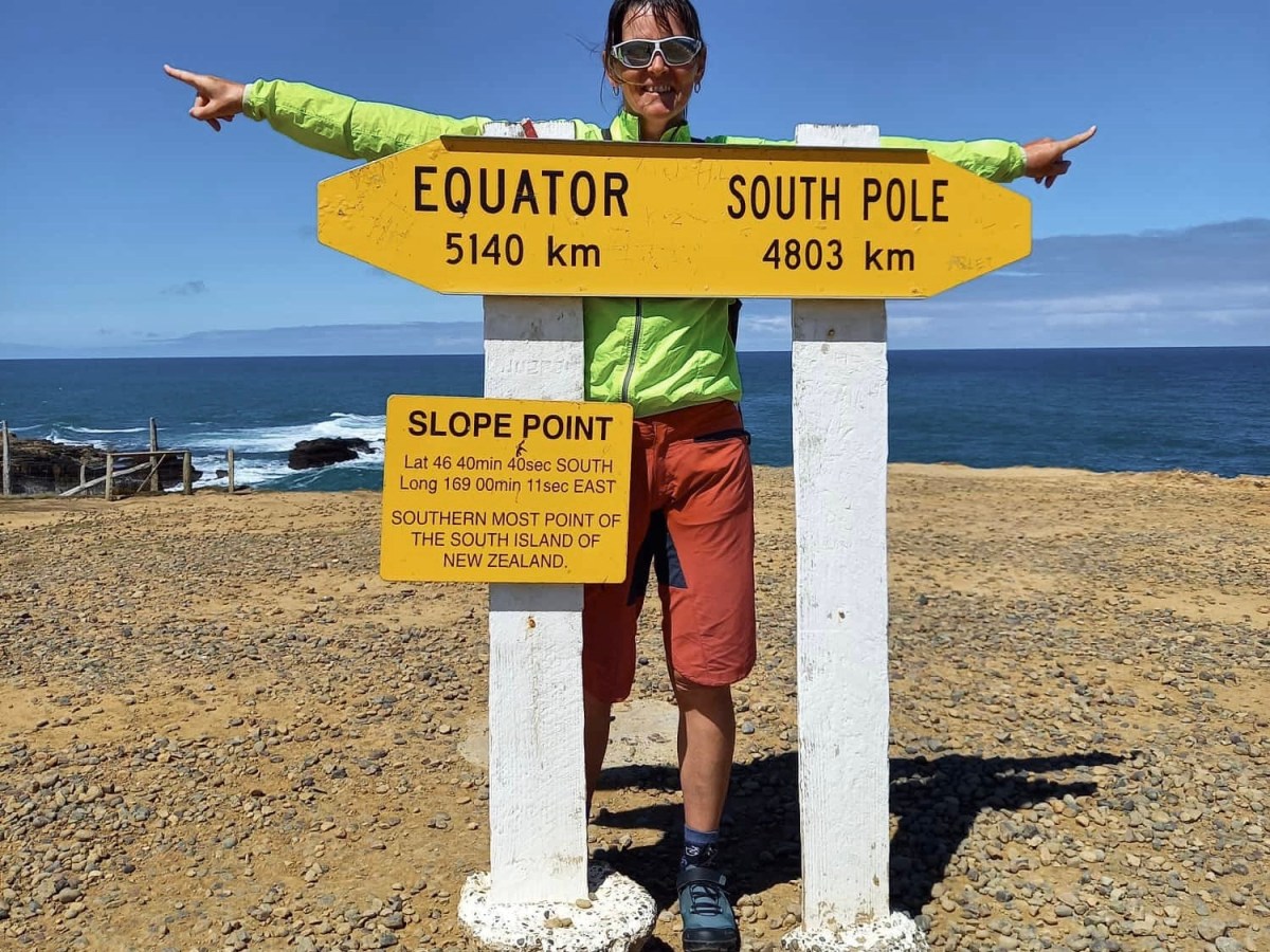 Schwimmen mit Delfinen