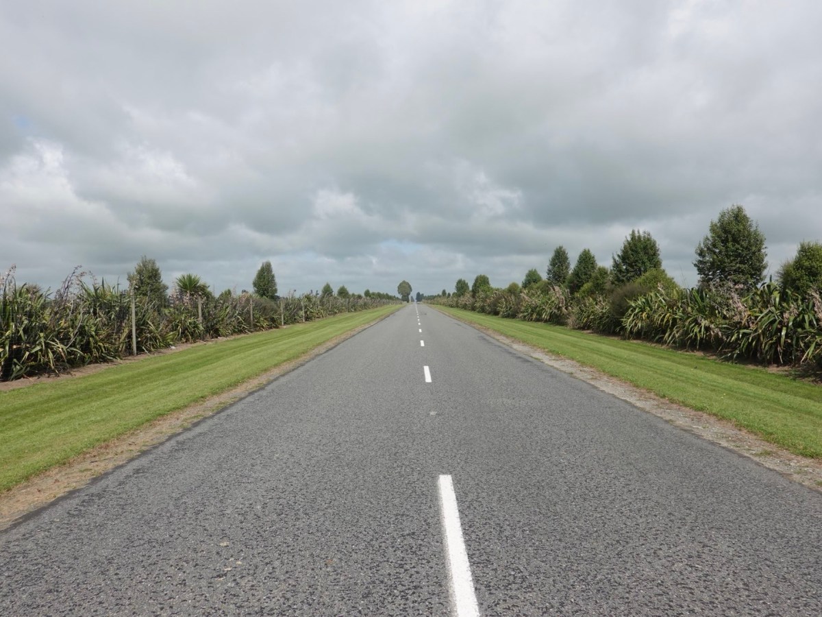 100 km mit&nbsp;Rückenwind