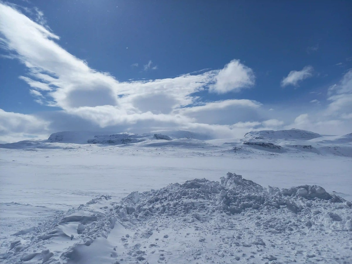 Hardangervidda 2026